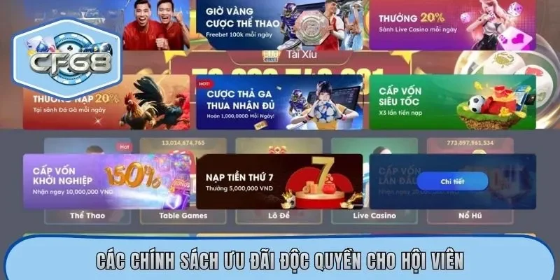 Các chính sách ưu đãi độc quyền cho hội viên