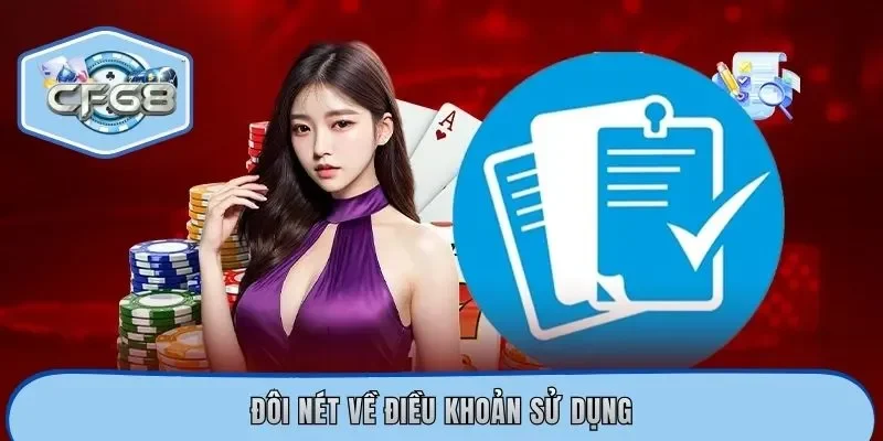 Đôi nét về điều khoản sử dụng