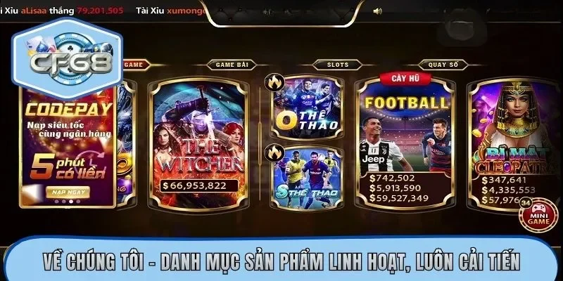 Về chúng tôi - Danh mục sản phẩm linh hoạt, luôn cải tiến